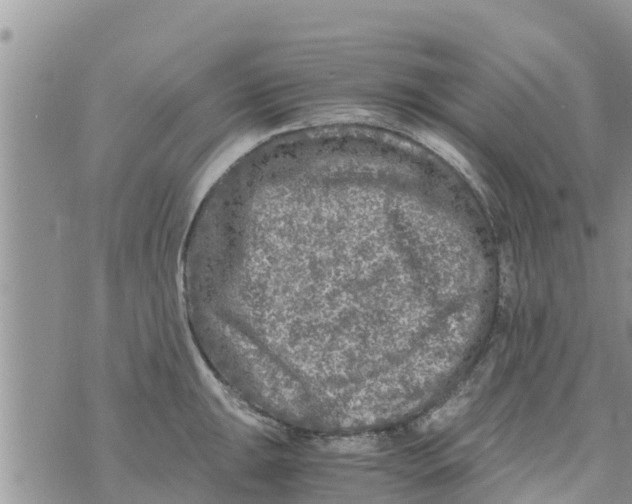 X0000073921047200609082233