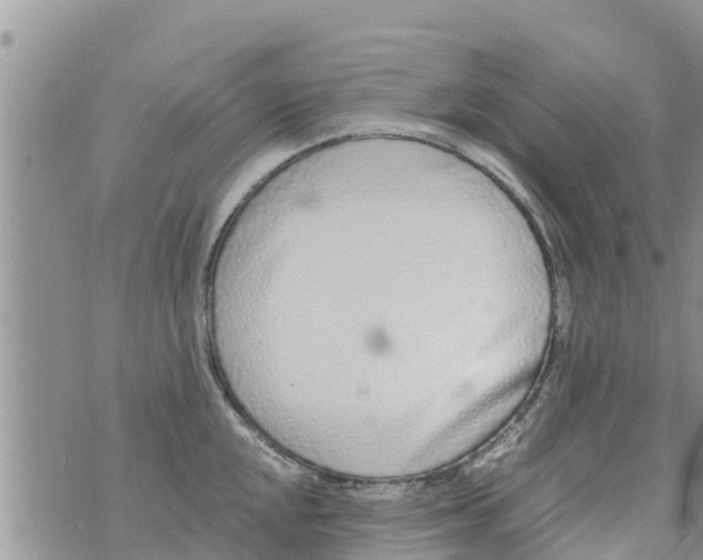 X0000073921048200609082233