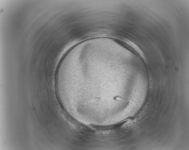 X0000073921051200609082233