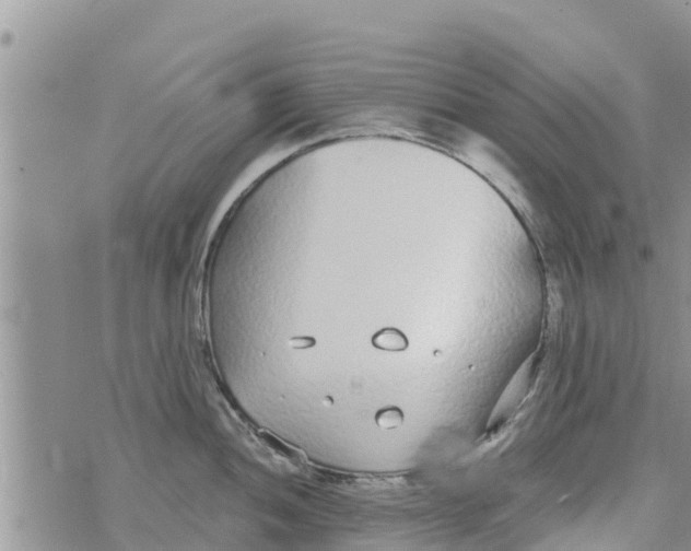 X0000073921052200609082233