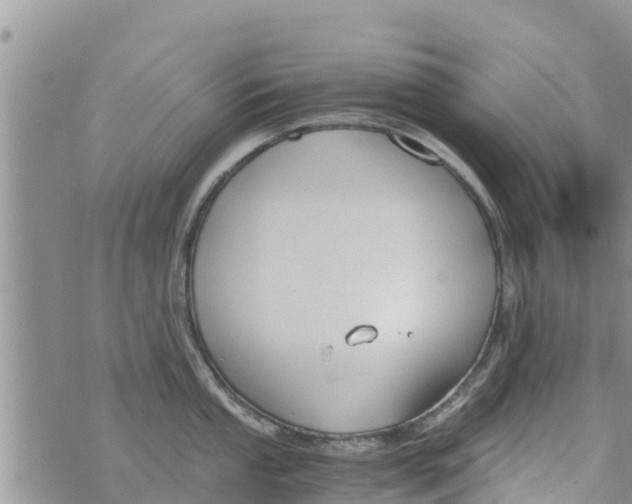 X0000073921053200609082233