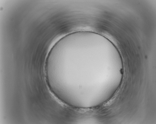 X0000073921056200609082233