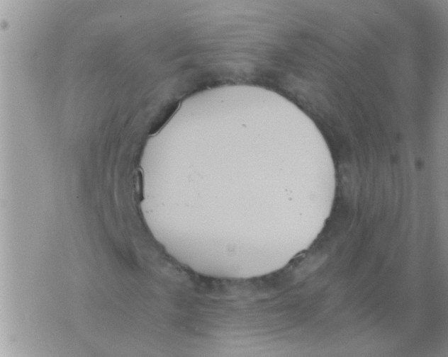 X0000073921057200609082232