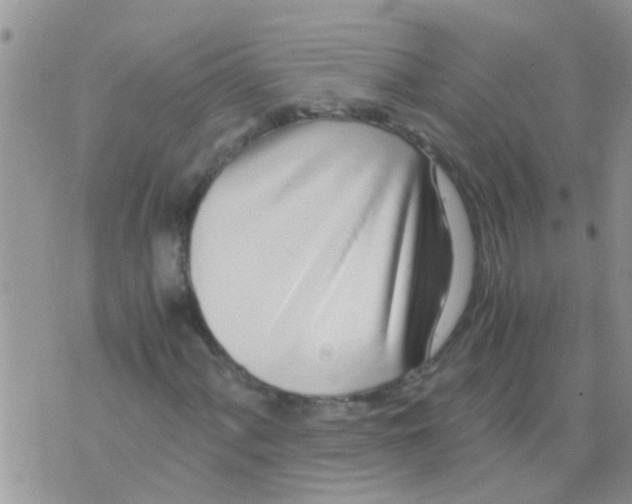 X0000073921060200609082232