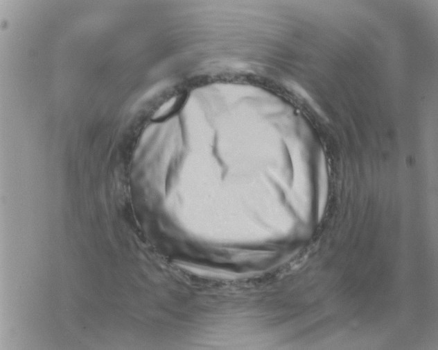 X0000073921063200609082232