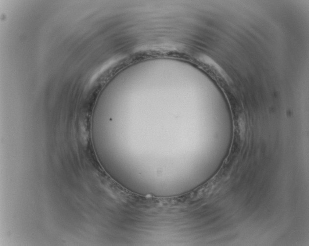 X0000073921064200609082232