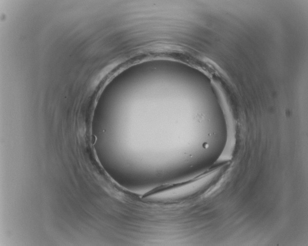 X0000073921065200609082232