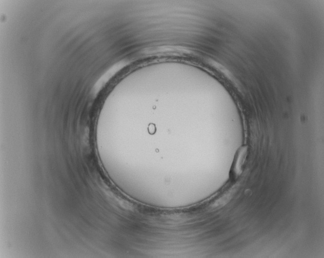 X0000073921066200609082232