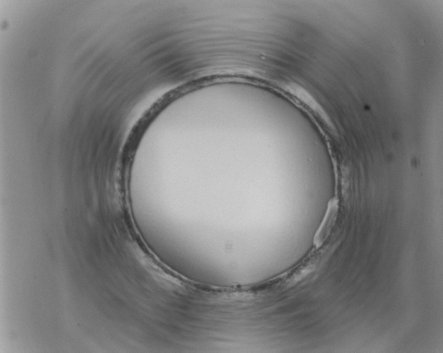 X0000073921068200609082232