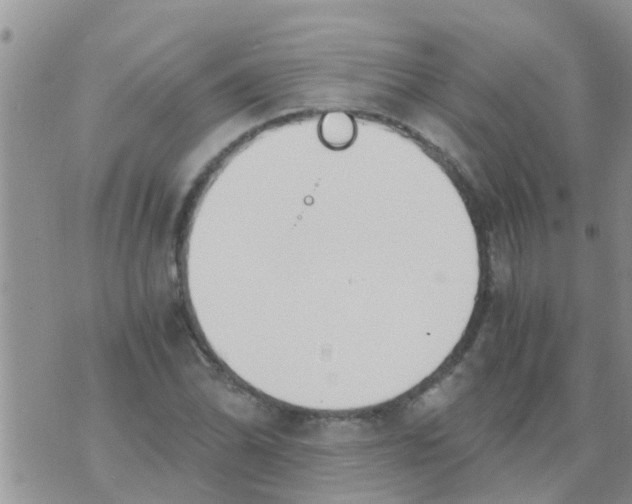 X0000073921070200609082232