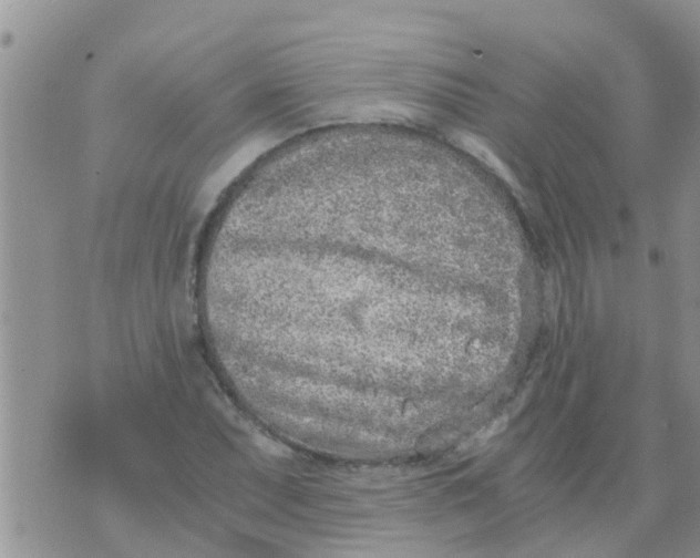 X0000073921071200609082232