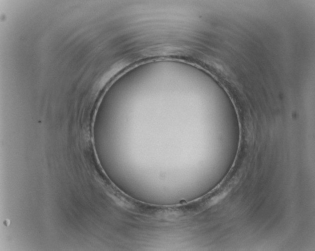 X0000073921073200609082232