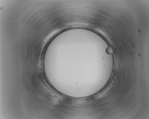 X0000073921074200609082232