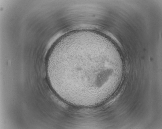 X0000073921075200609082232