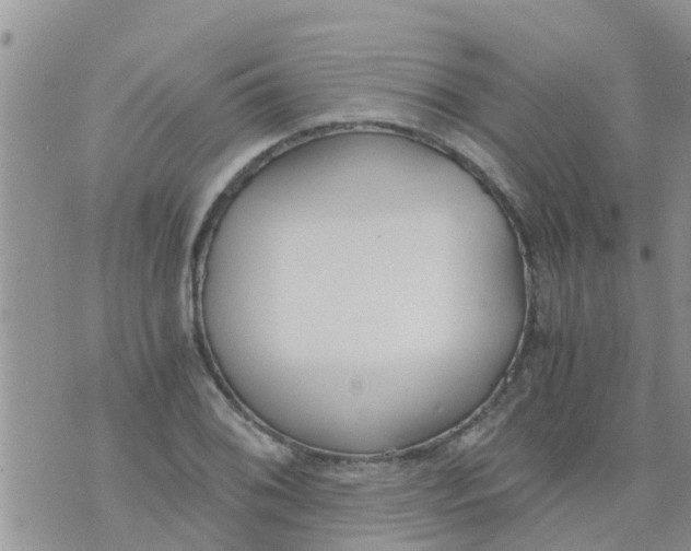 X0000073921076200609082232