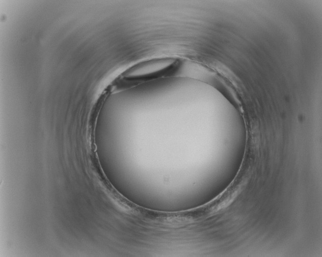 X0000073921077200609082232