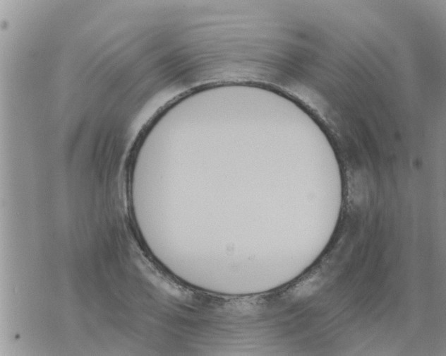 X0000073921078200609082232