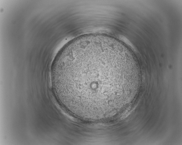 X0000073921079200609082232