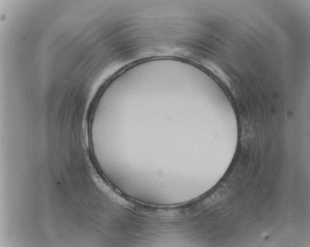 X0000073921080200609082232