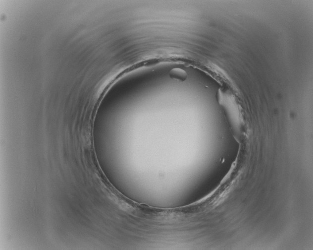 X0000073921081200609082232