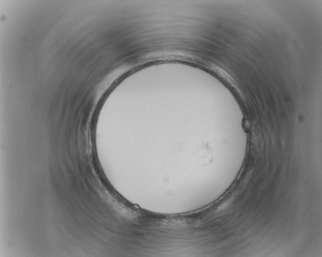 X0000073921082200609082232