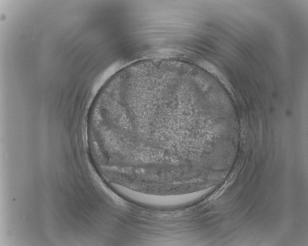 X0000073921083200609082232