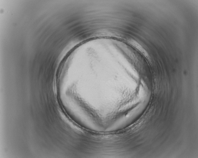 X0000073921084200609082232