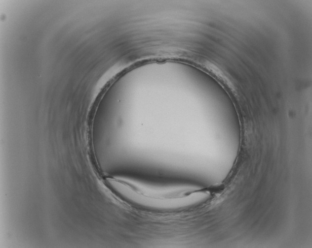 X0000073921085200609082232