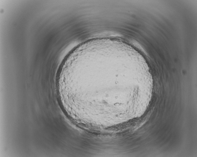 X0000073921087200609082232