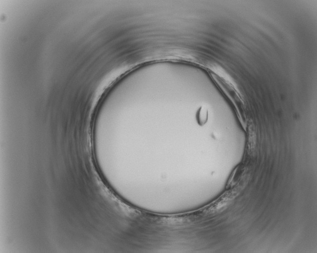 X0000073921088200609082232