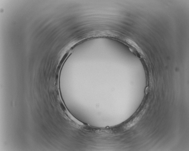 X0000073921089200609082232