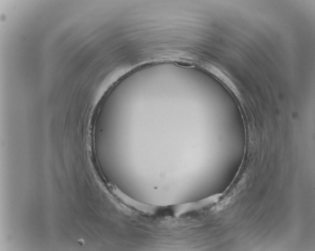 X0000073921093200609082232