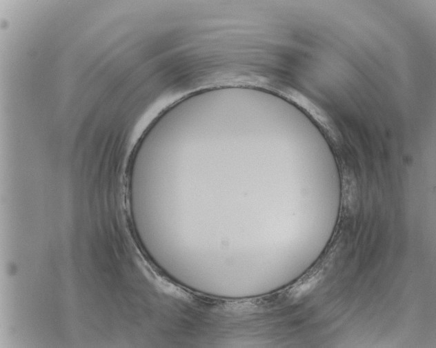 X0000073921094200609082232