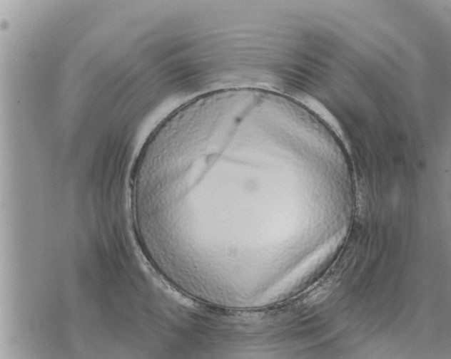 X0000073921096200609082232