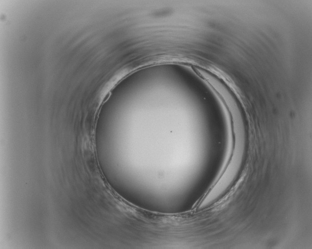 X0000073921097200609082232