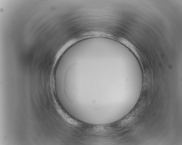 X0000073921098200609082231