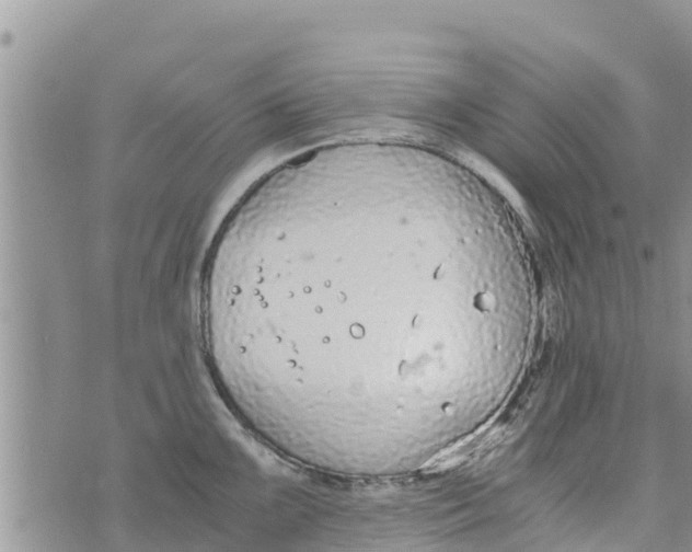 X0000073921099200609082231