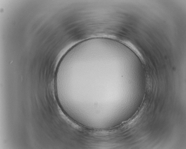 X0000073921100200609082231