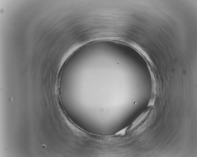 X0000073921101200609082231