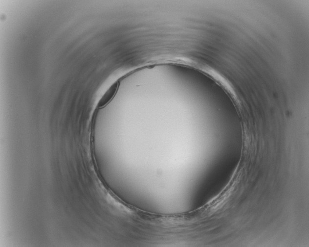 X0000073921102200609082231