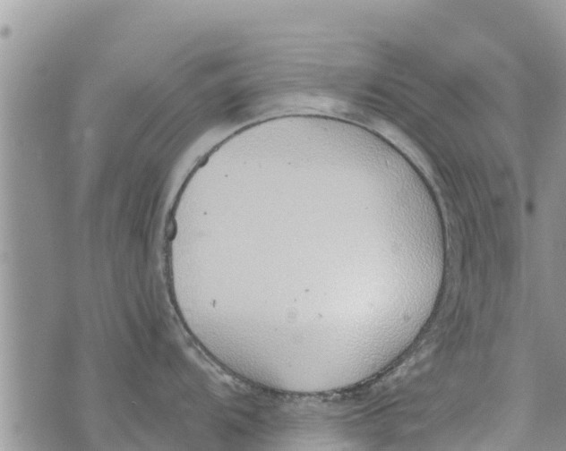 X0000073921104200609082231