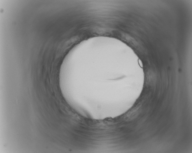 X0000073921105200609082231