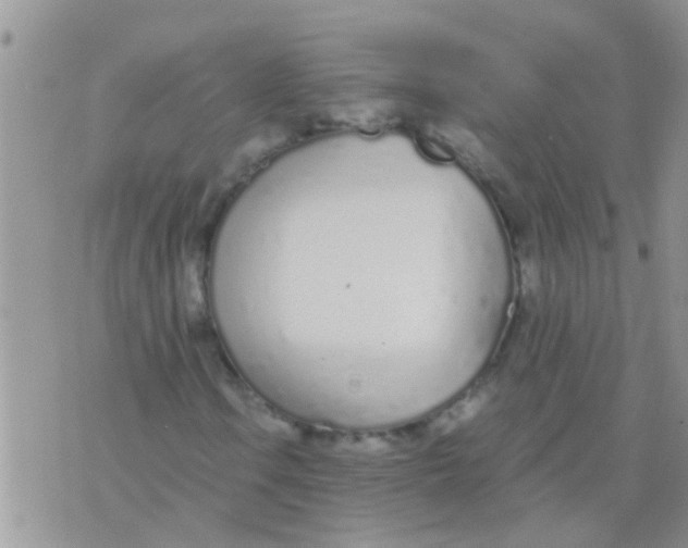 X0000073921106200609082231