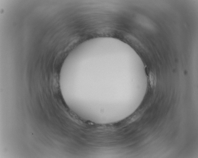 X0000073921107200609082231