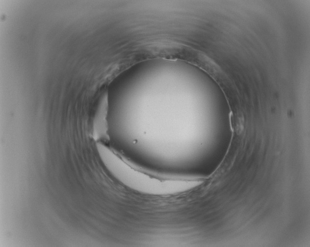 X0000073921108200609082231