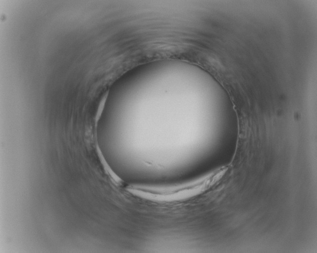 X0000073921109200609082231