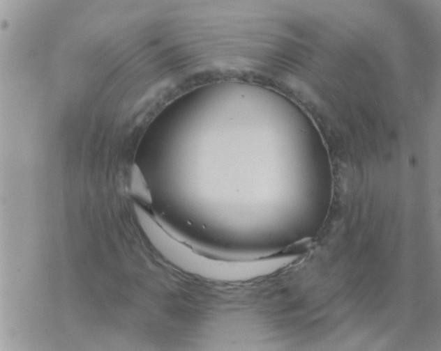 X0000073921110200609082231