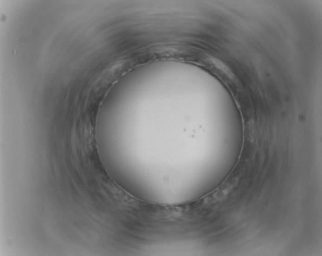 X0000073921111200609082231