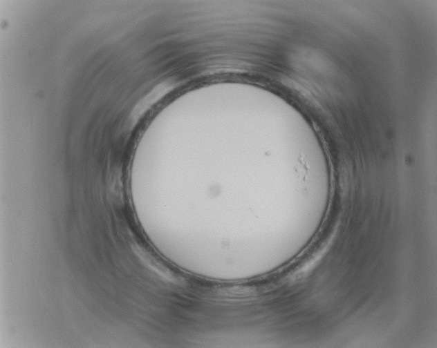 X0000073921113200609082231