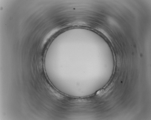 X0000073921115200609082231